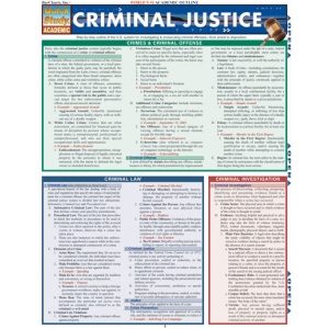 Study guide justice system