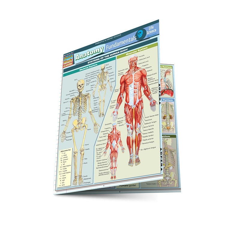 BarCharts Anatomy Fundamentals: Life Quick Study Guide