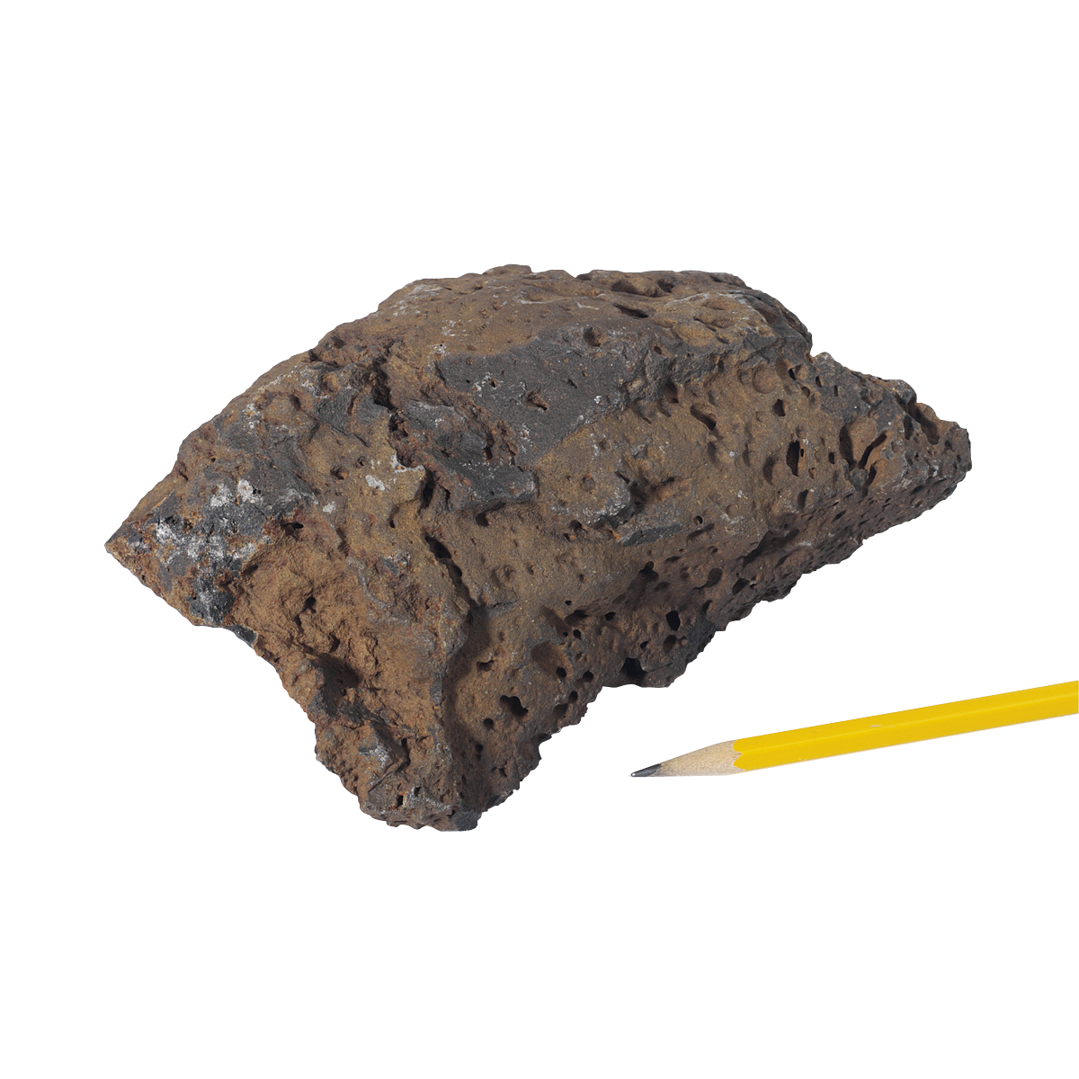 Igneous Rocks Basalt: Vesicular 1 kg - Igneous Online | Teacher Supply Source1200 x 1200