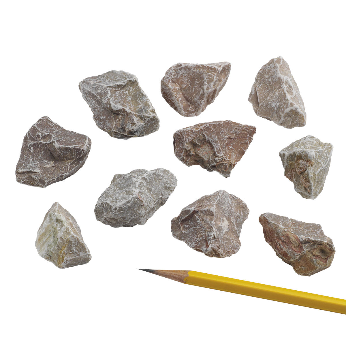 Sedimentary Rocks Limestone: Compact, Pack of 10 - Sedimentary Rocks Online | Teacher ...1200 x 1200