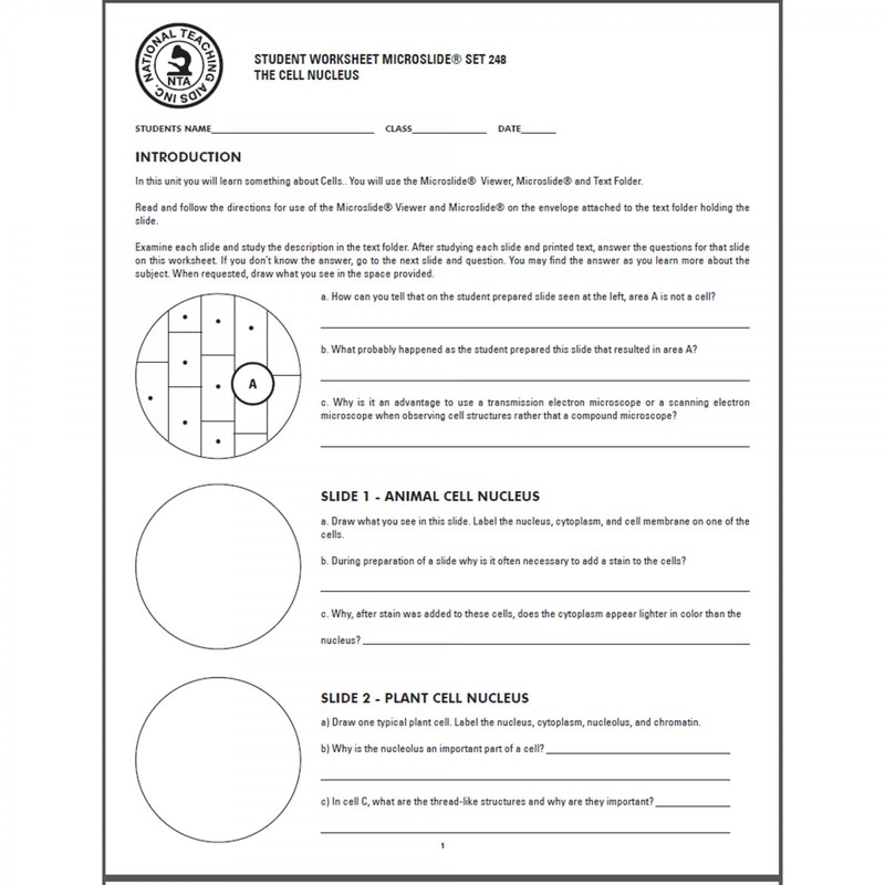 the-cell-nucleus-grade-1-to-12-reproducible-student-worksheets-online-teacher-supply-source